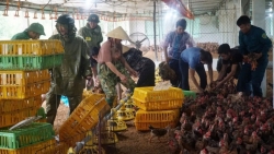 cong an xa cung gia chu giai cuu dan ga 5000 con bi ngap lut do bao