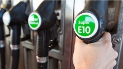 thi diem ban xang sinh hoc e10 tai 3 thanh pho tu ngay 18