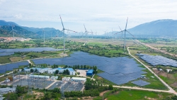 Bài 2: Cơ chế, thủ tục “trói chân” điện sạch