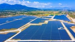 khoi day niem tin nha dau tu tu su nhat quan chinh sach