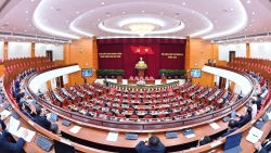 hon 1580 dai bieu se du dai hoi xiv cua dang