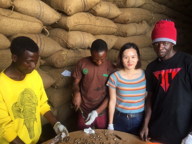 tap doan tt ky hop dong lon nhat trong lich su nganh dieu the gioi