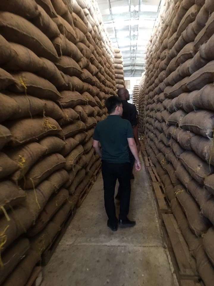 tap doan tt ky hop dong lon nhat trong lich su nganh dieu the gioi