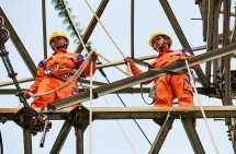 evn tkv pvn chiu trach nhiem truoc phap luat neu de thieu dien