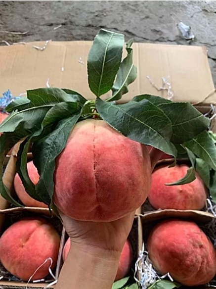 60000 dong mot qua dao tien o cho ha noi