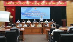 hai doanh nghiep trung dau gia han ngach nhap khau o to cu