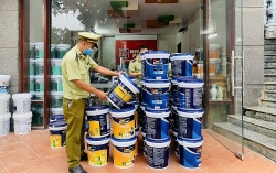 lai phat hien cong ty kinh doanh son nhai thuong hieu dulux