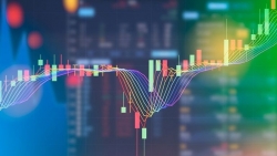 Cổ phiếu CEO bị nhà đầu tư nước ngoài bán ra nhiều nhất