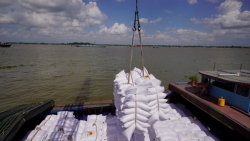 Thủ tướng: Xử lý nghiêm hành vi đẩy giá lúa gạo lên cao, trục lợi bất chính