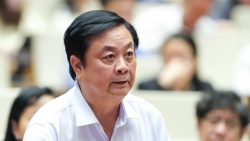 Bộ trưởng Lê Minh Hoan sẽ trả lời chất vấn về xuất khẩu gạo, an ninh lương thực