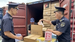 gia tang tinh trang loi dung xuat nhap khau de buon lau gian lan