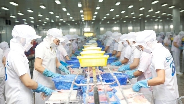 Con số doanh nghiệp ra đời trong tháng 7/2025