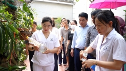 xa duong hoa mo chien dich ve sinh moi truong phong chong sot xuat huyet