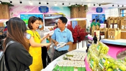 chuyen dich xuc tien thuong mai truyen thong sang da nen tang la xu the tat yeu