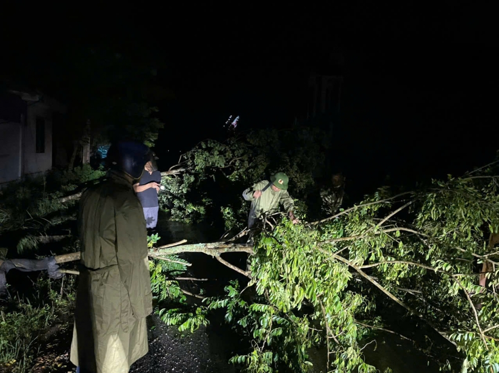 Xã Hoa Lộc: Công tác ứng phó bão số 5 được triển khai chủ động, quyết liệt