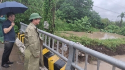 hoai duc chu dong ung pho giam thieu thiet hai do bao so 5 gay ra