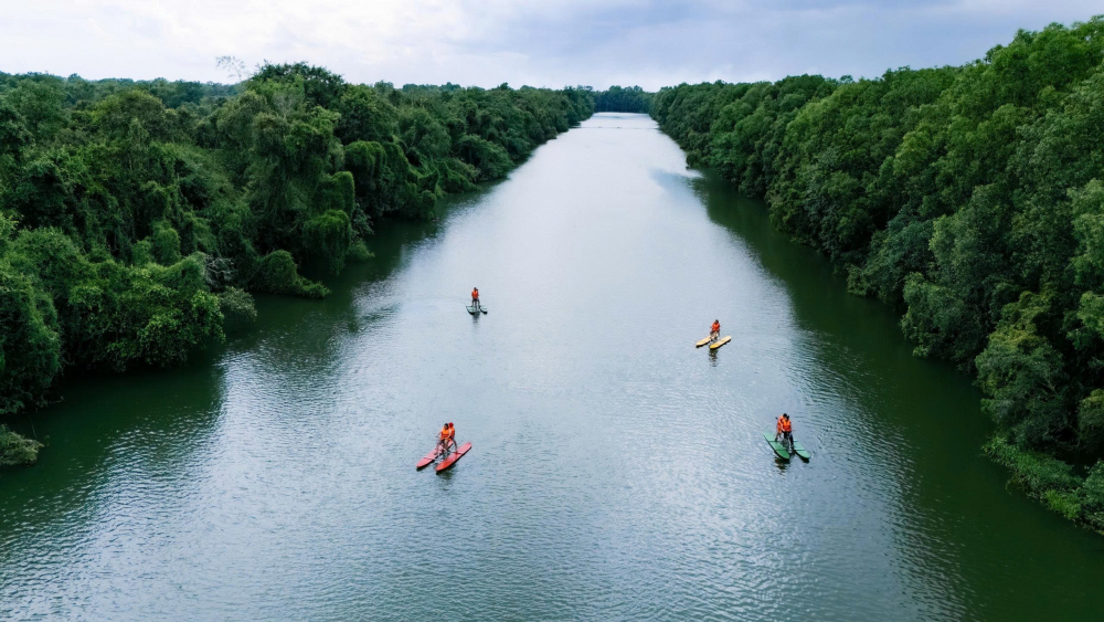 Cảnh sắc Đồng Tháp Mười: Một ngày đi chậm để nghe rừng cất tiếng