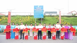 Xã Dương Hoà khánh thành tuyến đê bích hoạ, nở hoa mừng Quốc khánh