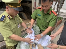 hon 1400 doi giay the thao nghi gia thuong hieu nike adidas o lang son