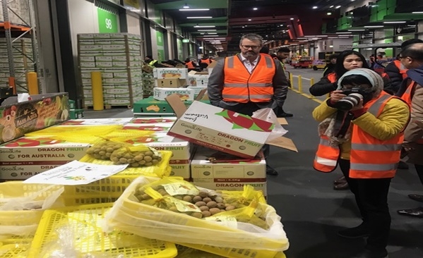 moi xuat khau lo nhan dau tien sang uc da phai giai cuu