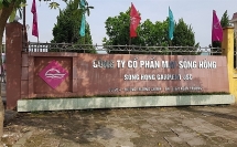 cong ty cp may song hong bi xu ly vi pham thue va hai quan