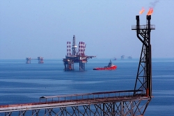 viet nam tang nhap khau dau tho