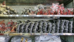 dep loan nan kinh doanh phu tung xe may khong ro nguon goc