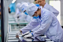 ngai thang co hon nguoi viet giam thanh lap doanh nghiep