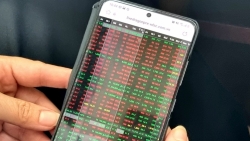 Mất ăn mất ngủ, vợ chồng cãi nhau vì thua lỗ chứng khoán