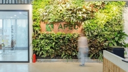 API dự kiến chào bán hơn 84 triệu cổ phiếu cho cổ đông giá 15.000 đồng