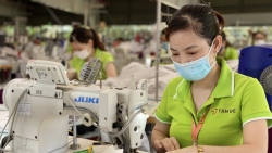 Doanh nghiệp đổ xô thành lập mới và tái gia nhập thị trường