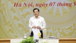 Kết luận của Phó Thủ tướng tại cuộc họp về tín dụng, hấp thụ vốn