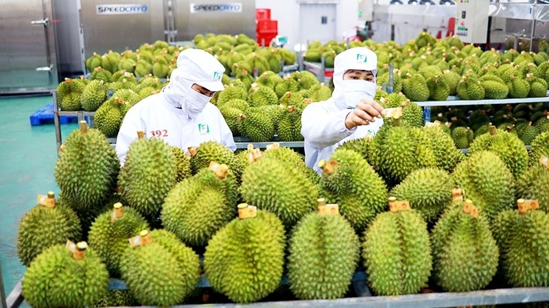 Cơ hội cho nông sản Việt Nam tiến sâu vào thị trường Trung Quốc