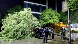 bo tu lenh thu do dieu dong 400 can bo khac phuc hau qua bao yagi