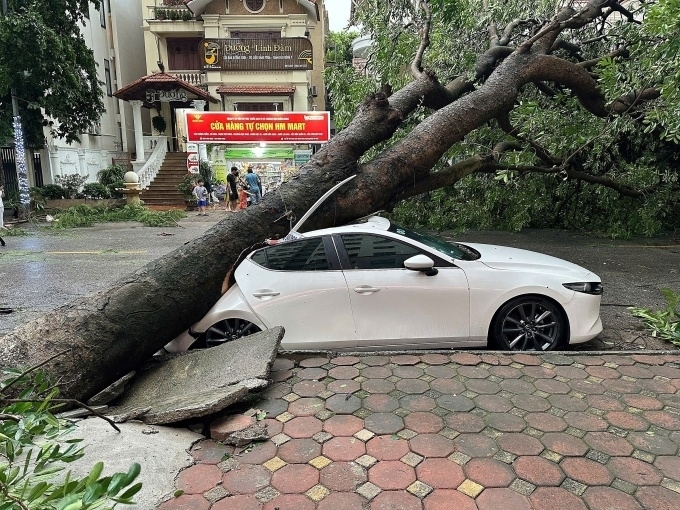 Bảo hiểm thực hiện ngay tạm ứng, bồi thường thiệt hại do mưa bão