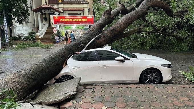 Bảo hiểm thực hiện ngay tạm ứng, bồi thường thiệt hại do mưa bão