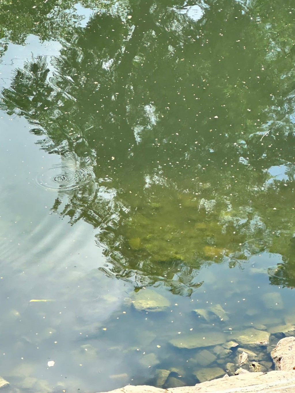 Hồi sinh sông Tô Lịch: Nỗ lực của Hà Nội, đã thấy