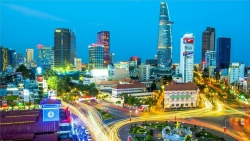 infographic buc tranh kinh te xa hoi viet nam 8 thang nam 2025