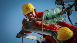 vi sao evn lo toi gan 45000 ty dong