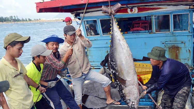 Việt Nam đề nghị Hoa Kỳ xem xét khách quan về thương mại thủy sản