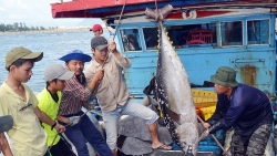 viet nam de nghi hoa ky xem xet khach quan ve thuong mai thuy san