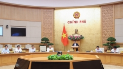 chong lang phi phai tro thanh tu giac tu nguyen