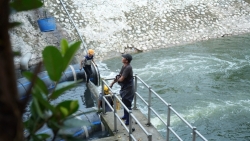 Hà Nội có thể sẽ đặt chậu cây che các cửa xả, ống dẫn nước vào sông Tô Lịch
