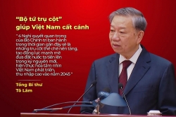 bo tu nghi quyet tru cot