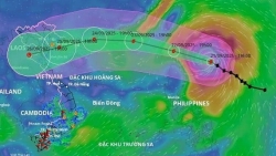 Siêu bão RAGASA rất mạnh: Thủ tướng chỉ đạo ứng phó ở mức cao nhất
