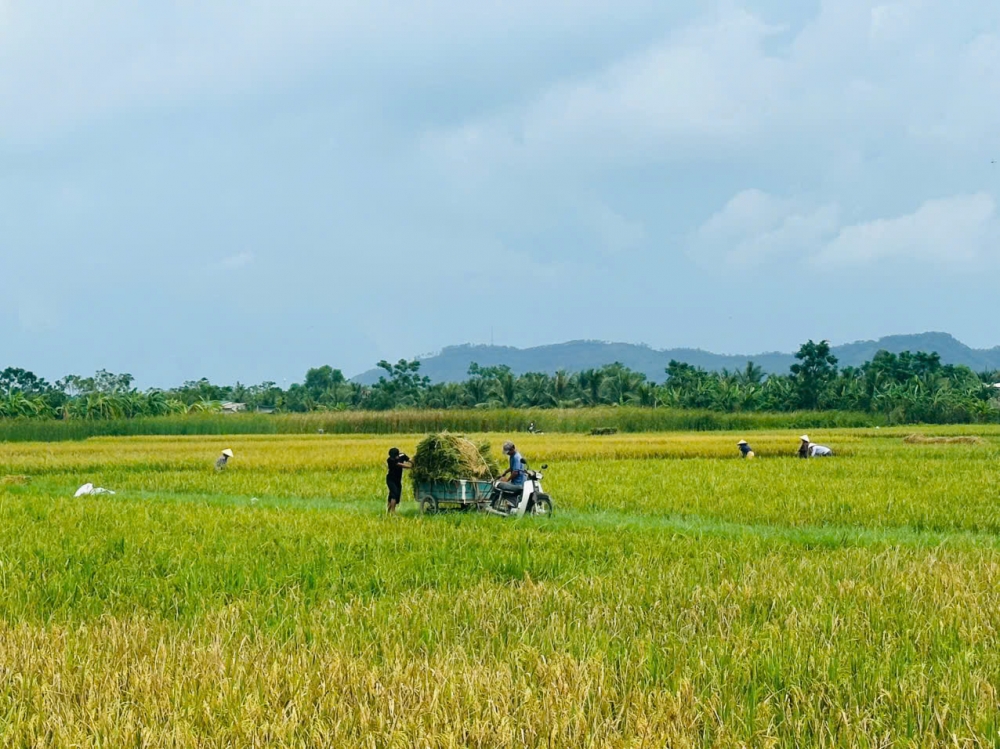 Chủ tịch xã Hoa Lộc: Tuyệt đối không được chủ quan với siêu bão RAGASA