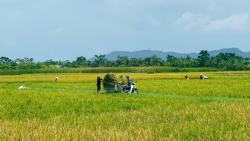 chu tich xa hoa loc tuyet doi khong duoc chu quan voi sieu bao ragasa