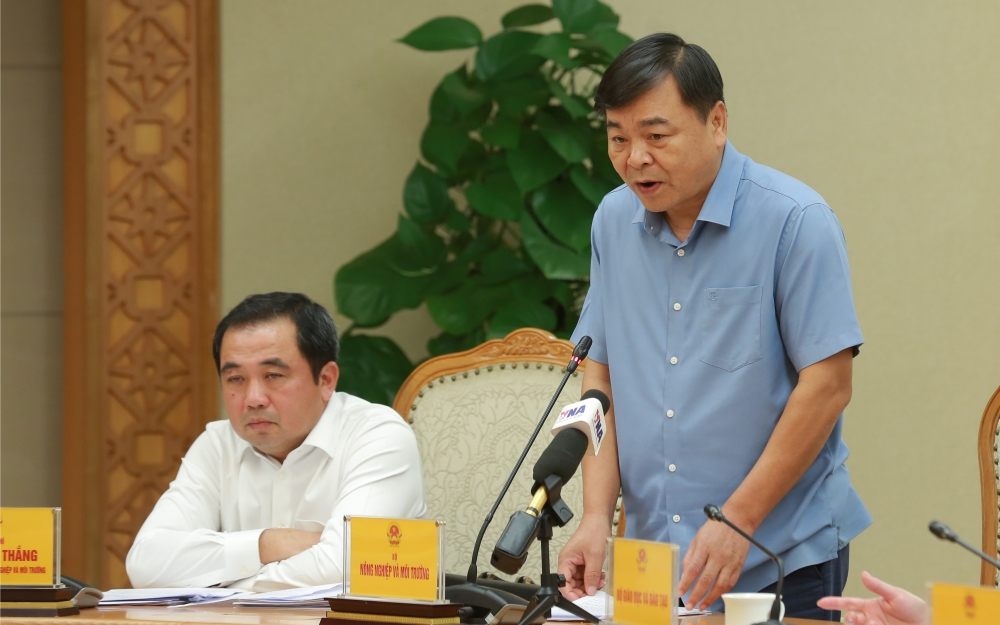 Triển khai nhanh chóng, quyết liệt phương án ứng phó siêu bão Ragasa (bão số 9)