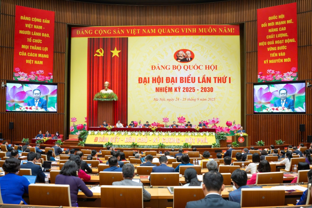 Chủ tịch Quốc hội: Chỉ định cán bộ cũng phải chọn, phải rà soát hết sức kỹ lưỡng Chủ tịch Quốc hội: Chỉ định cán bộ cũng phải chọn, phải rà soát hết sức kỹ lưỡng