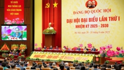 hoan thien he thong phap luat di truoc mo duong cho kien tao phat trien dat nuoc